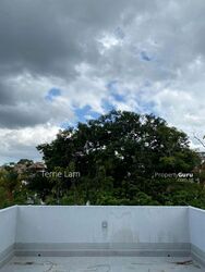 Shamrock Park (D10), Semi-Detached #613600751